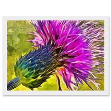 Scottish Thistle lila Blume