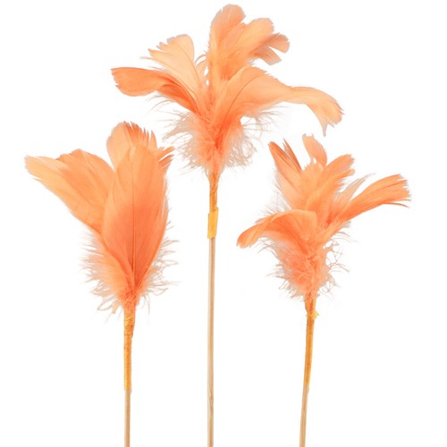 Deko federn orange vogelfedern - federn,