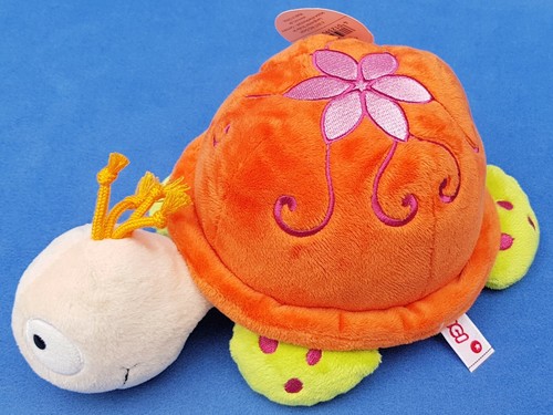 Nici schildkröte sula junior - schildkrÖte,