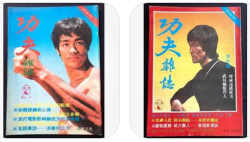 Bruce lee chinese - bruce,