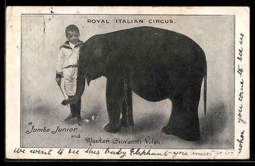 Royal italian circus jumbo - italian,