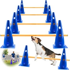 Hundetraining, Hundesport