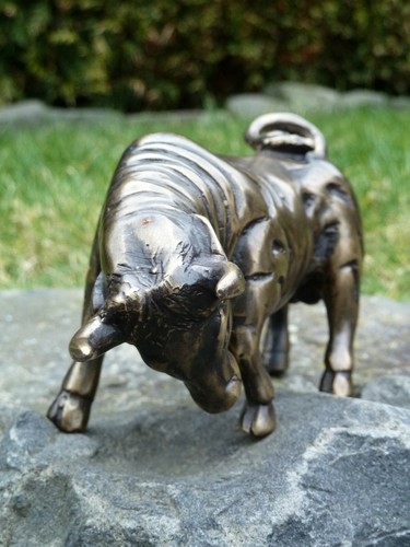 Stier zum angriff - zum, bereit