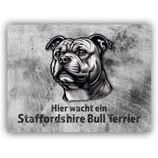 Staffordshire Bullterrier
