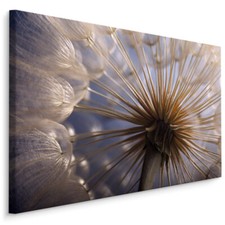 CANVAS Leinwand Bilder XXL