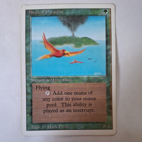 Birds paradise 3 - birds,