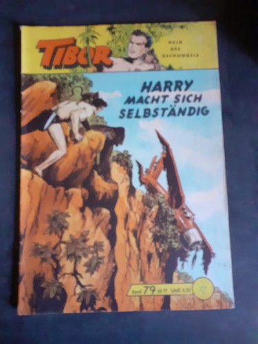 Tibor lehning - tibor,