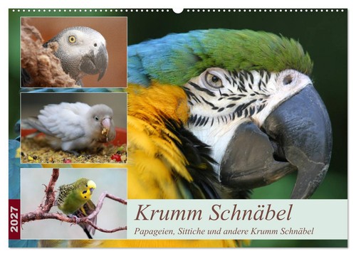 Krumm schnäbel papageien - krumm,