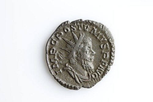 Postumus herc devsoniensi - -,