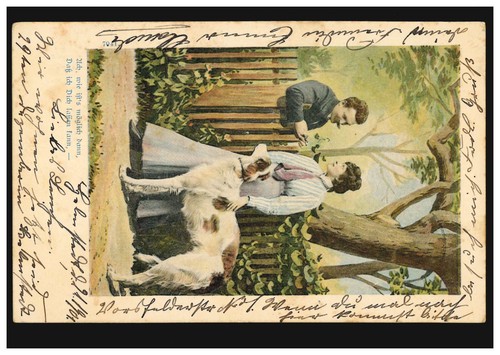 Liebespaar mit hund - liebespaar,