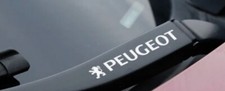 Peugeot Außenspiegel Fenster