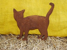 Katze "Principessa" Kätzchen