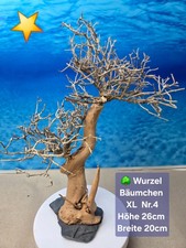 🌳Aquarium Wurzel Bonsai