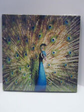 Wandbild Poster Druck Pfau