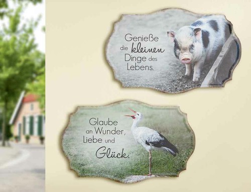 Schild glück bunt - schild,