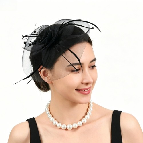 Feder braut kopfschmuck - feder,