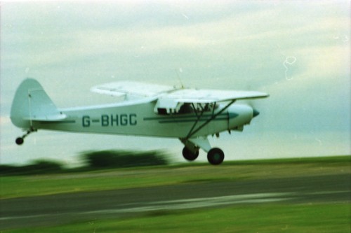 Negativ bhgc piper 18 - negativ,