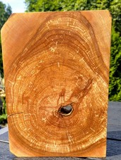 Holz, Holzklotz, Stirnholz,Balkenscheibe, Bastelholz,Erle,Stärke:5,2 cm