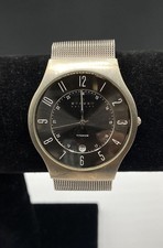 Men's Skagen Denmark Titanium