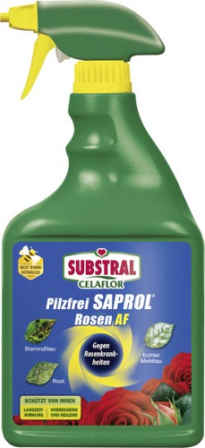 Celaflor pilzfrei saprol - celaflor,