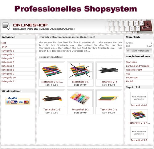 Professionelles shopsystem - professionelles,