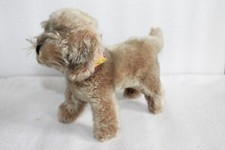 Steiff 44190/17 Hund Raudi mit