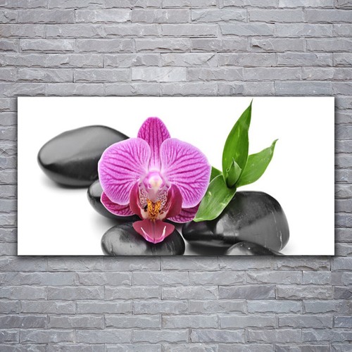 Acrylglasbilder wandbilder aus - acrylglasbilder,