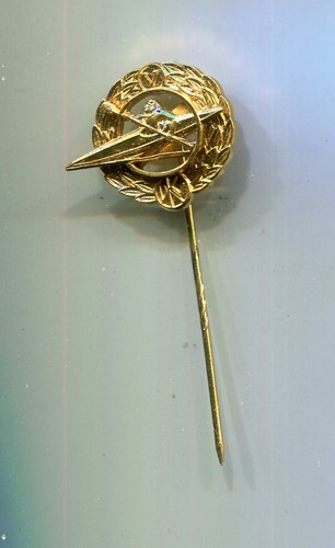 Ehrennadel kanusport golden - ehrennadel,