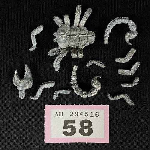 Unvollständig c29 - unvollstÄndig,