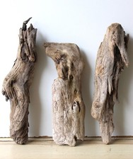 Treibholz Schwemmholz