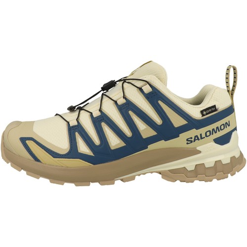 Salomon pro v9 - xa, 3d