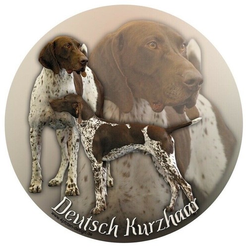 Deutsch kurzhaar autoaufkleber - kurzhaar,