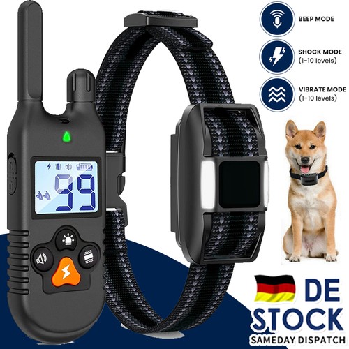 1000m hund ausbildung - 1000m,