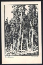 Künstler-AK Otto Ubbelohde