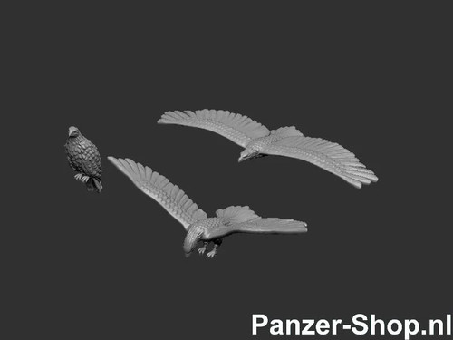 Spur adler tiere - adler,