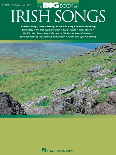 The big book irish songs - the,