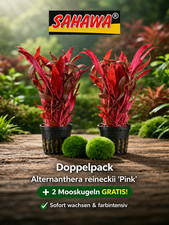 2er Set  Wasserpflanzen