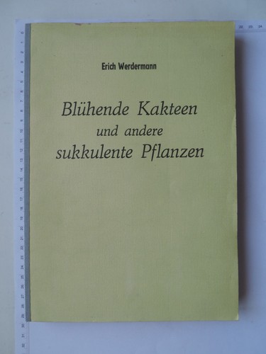 Blühende kakteen und andere - blühende,