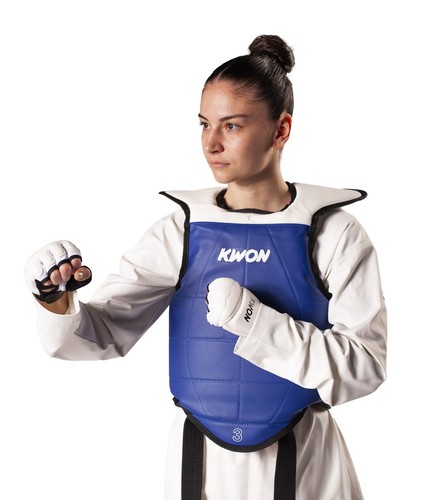 Kwon taekwondo tkd - taekwondo,