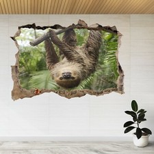 Young Hoffmann's Two-toed