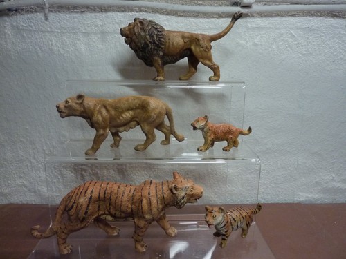 Löwen und tiger - und, 2