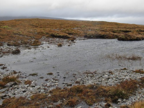 Foto kleiner lochan allt - kleiner,