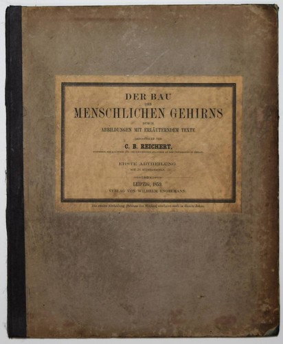 Reichert der bau des - reichert,,
