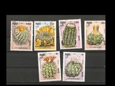 Kambodscha Kampuchea Kakteen