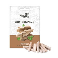 Austernpilz Dübelbrut, Hawlik Pilzbrut, Austernseitlinge züchten auf Holz/Stroh
