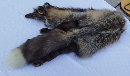 Vintage fuchs hals stola - hals,