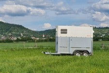 Pferdeanhänger Wörmann 1,5