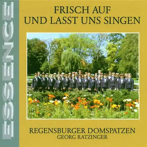 Regensburger domspatzen - domspatzen,