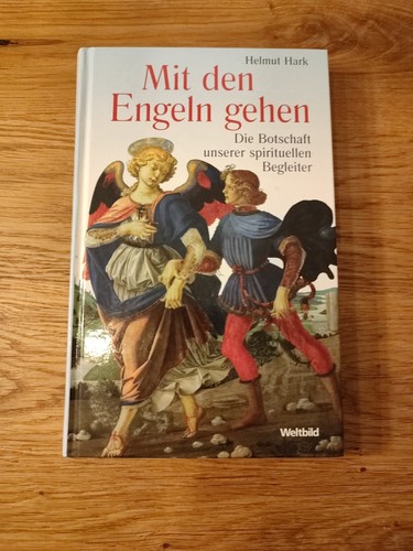 Mit den engeln gehen - den,