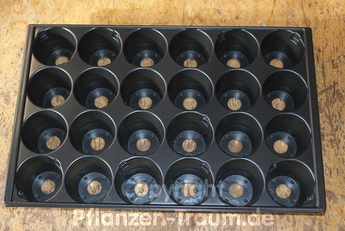 Pikierplatte quickpot 24r - pikierplatte,